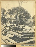 巒大山運材滑道之景藏品圖，第3張
